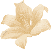 فیزیوتراپی